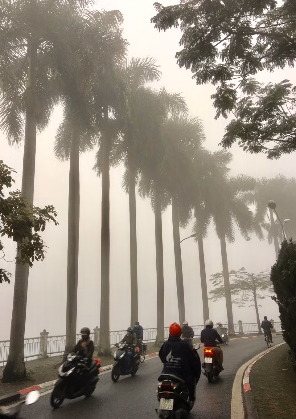 Hanoi amanece hoy con muchas nieblas, lo que dificulta la circulación de los tráficos. (Foto: VNA)