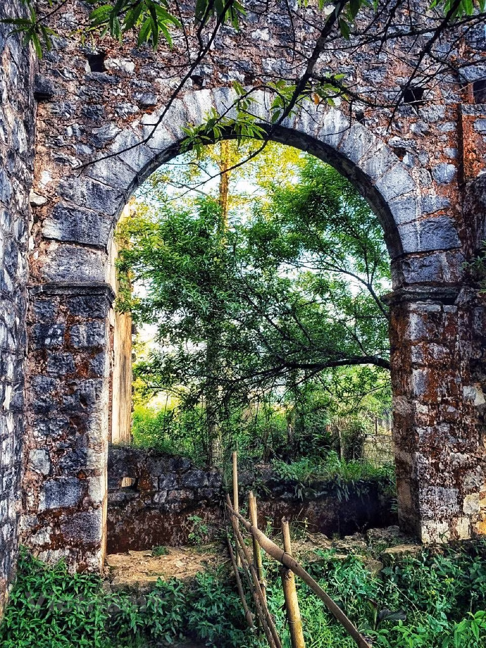 Todas las paredes y ventanas están cubiertas de musgo pero su construcción aún está muy sólida. (Foto: Vietnam+)