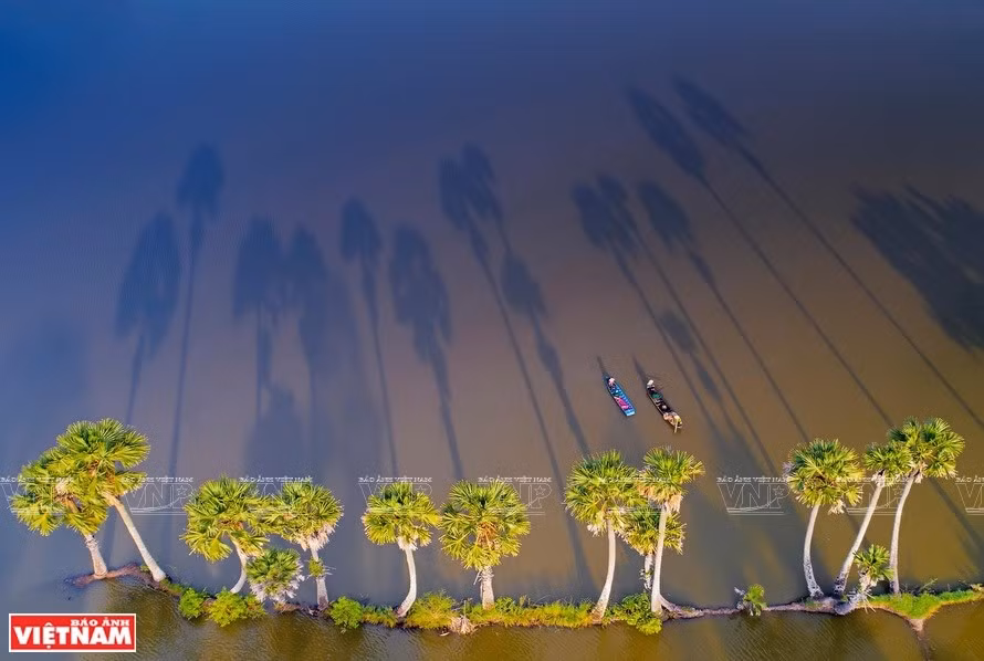 “Nắng chiều” (Tarde soleada) - Autor: Hoang Bich Nhung (Fuente: VNP)