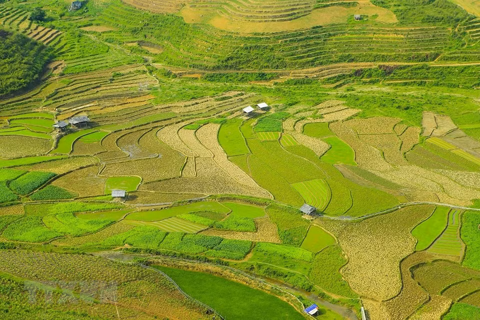 Terrazas de arroz se extendían por las montañas (Foto: VNA)