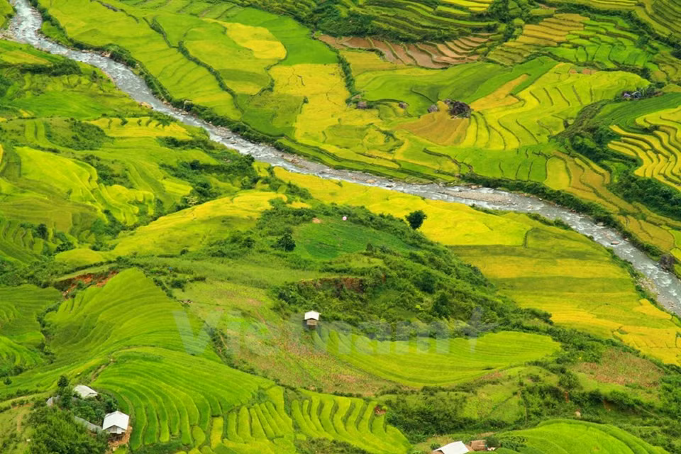 La mixtura de los colores de la naturaleza (Fuente: VNA)