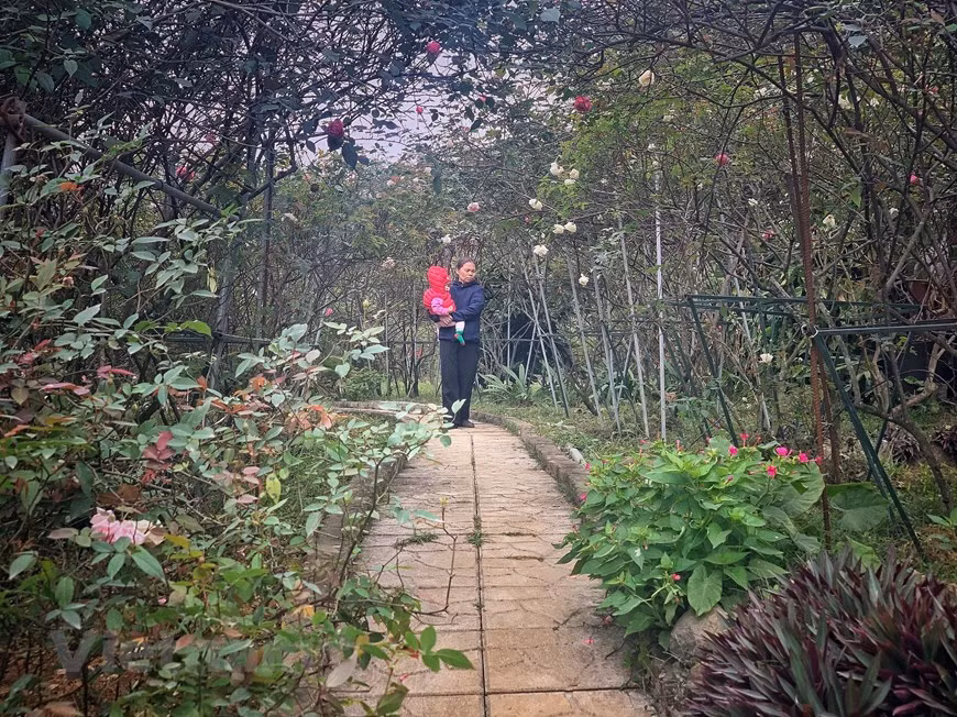 La atmósfera apacible en el jardín. (Foto: VNA)
