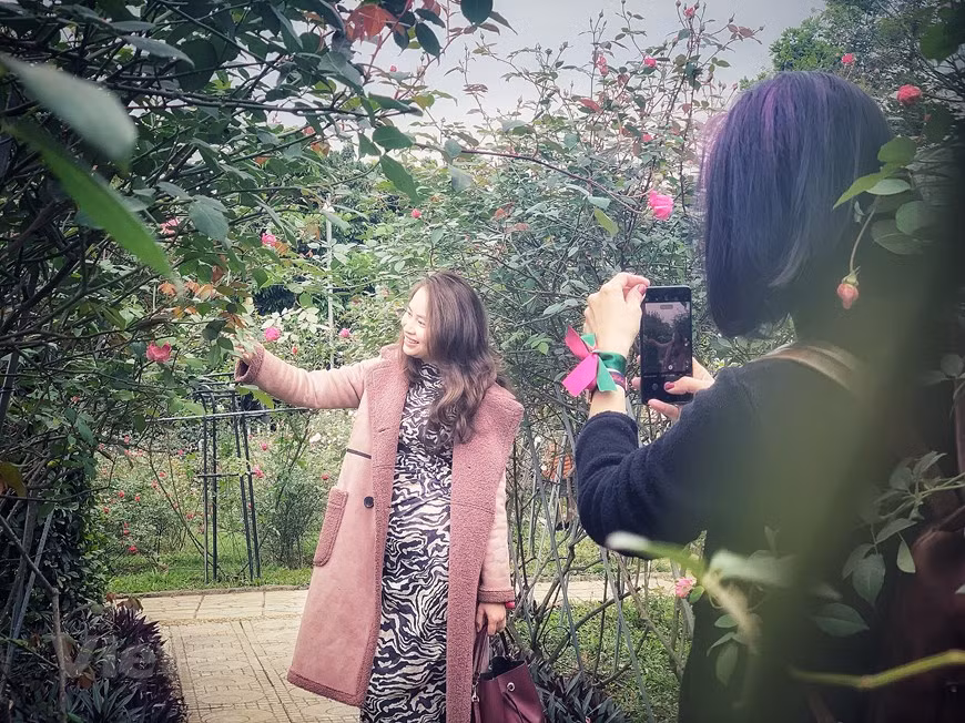 El jardín atrae a numerosos turistas. (Foto: VNA)