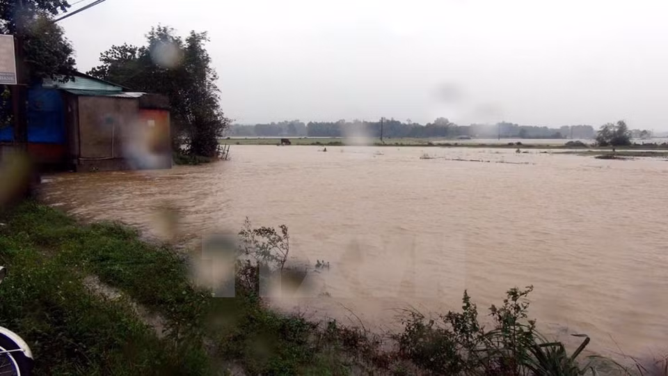 La mayoría de los campos de cultivo en el distrito de Hai Lang, en la provincia de Quang Tri, han estado bajo el agua (Foto: VNA)