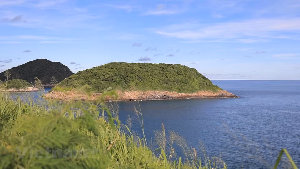 La mayoría de las playas de Con Dao son vírgenes, de agua turquesa, rodeadas de bosques en un parque nacional protegido. El mejor momento para visitar las islas es entre marzo y septiembre, cuando disminuyen las lluvias y el mar está en calma, lo que facilita el transporte de mercancías desde el continente. Deviene el hogar de 285 especies de plantas y más de 100 de aves y mamíferos endémicos, como las ardillas Finlayson (con el nombre científico de Callosciurus finlaysonii), vencejos, tortugas marinas, holoturoideos, gracilaria, entre otros. En Con Dao, los turistas pueden realizar un recorrido para visitar las isletas del ecosistema del Parque Nacional del mismo nombre, como Hon Bay Canh, Hon Tai, Hon Tre, Hon Trung, Hon Trac y Hon Cau. (Fuente:Vietnamplus)