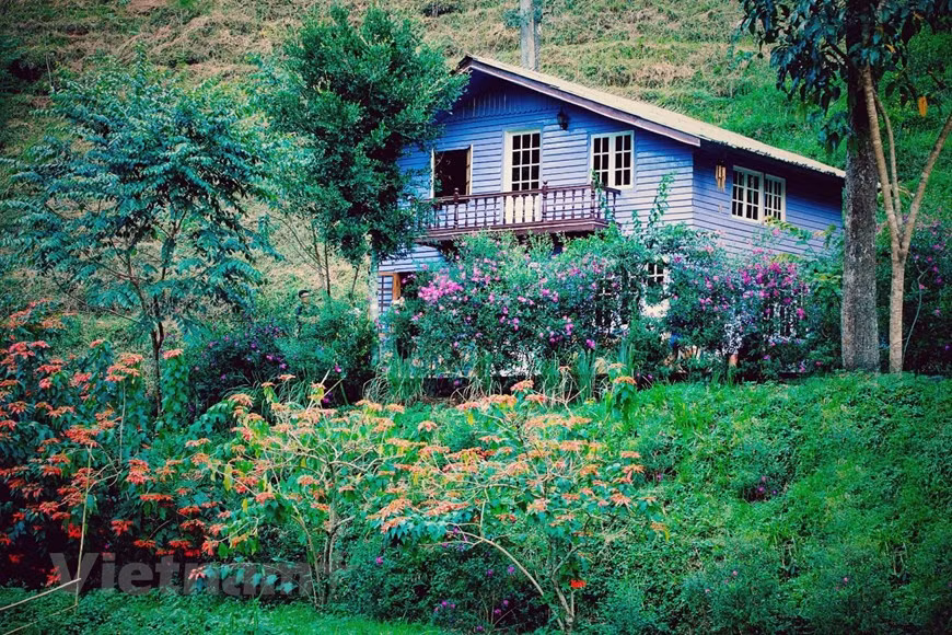 Incluso en la profundidad del bosque, las “casas de madera de hadas” están adornadas con flores coloridas. (Foto: VNA)