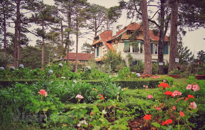 La ciudad vietnamita de Da Lat ocupa el tercer puesto entre los destinos favoritos del mundo para contemplar flores, de acuerdo con la plataforma turística Booking.com. La urbe es encantadora y hermosa, que cuenta con casas de arquitectura francesa antigua rodeadas de jardines de flores durante las cuatro estaciones. (Foto: VNA)