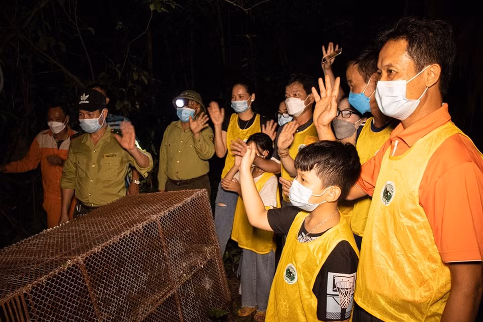 El director del Parque Nacional Cuc Phuong, Nguyen Van Chinh, dijo que el propósito último y más importante de las tareas del rescate y cuidado de la vida silvestre es liberar a los animales salvajes a la naturaleza. Por tal motivo, la liberación de vida silvestre después del rescate es siempre un trabajo importante y muy emocional. “Creemos que cualquiera que sea testigo del momento en que los animales salvajes regresan a la naturaleza, tendrá un buen sentimiento con la naturaleza, en general, y con la vida silvestre, en particular, por lo que mejorarán la conciencia y responsabilidad de cada persona en la protección de la vida silvestre”, dijo Nguyen Van Chinh. (Fuente: Vietnamplus)