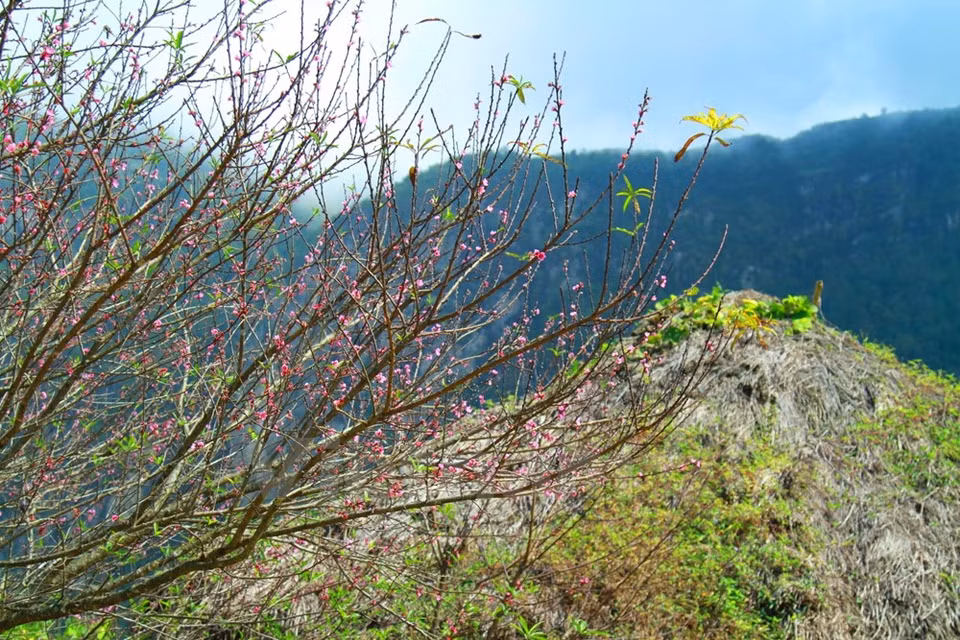 Parece que la primavera esté presente temprano aquí, a dos mil metros sobre el nivel del mar. 
