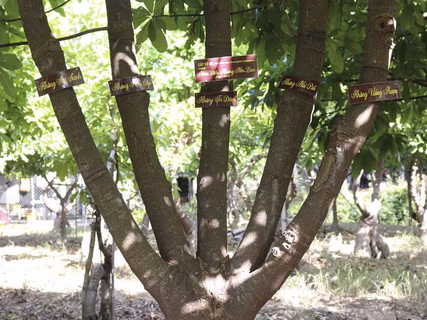  Un ayahuma representa los "Cinco preceptos" (Foto: VNA)