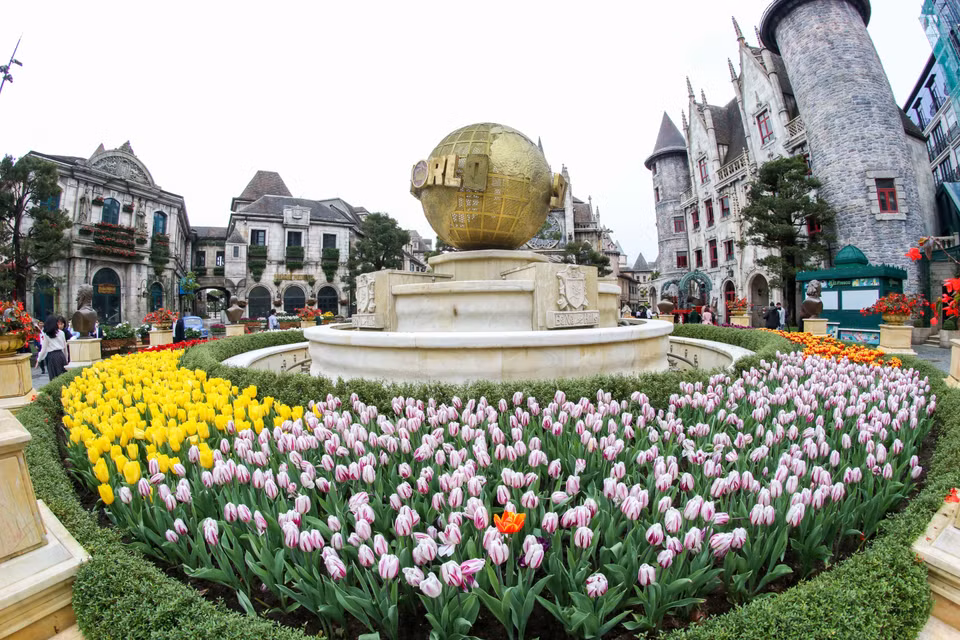 Área del parque en Sun World Ba Na Hills con tulipanes floreciendo brillantemente para el día de reapertura (Foto: VNA)