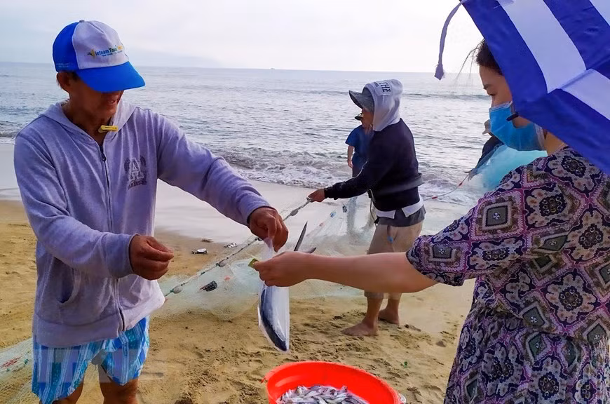 Residentes y visitantes prefieren comprar los peces recién capturados (Fuente: VNA)