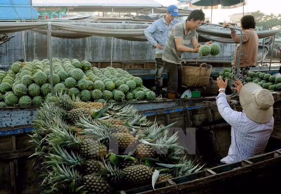  Las frutas son losartículos más populares para la venta en Cai Rang (Foto: VNA)