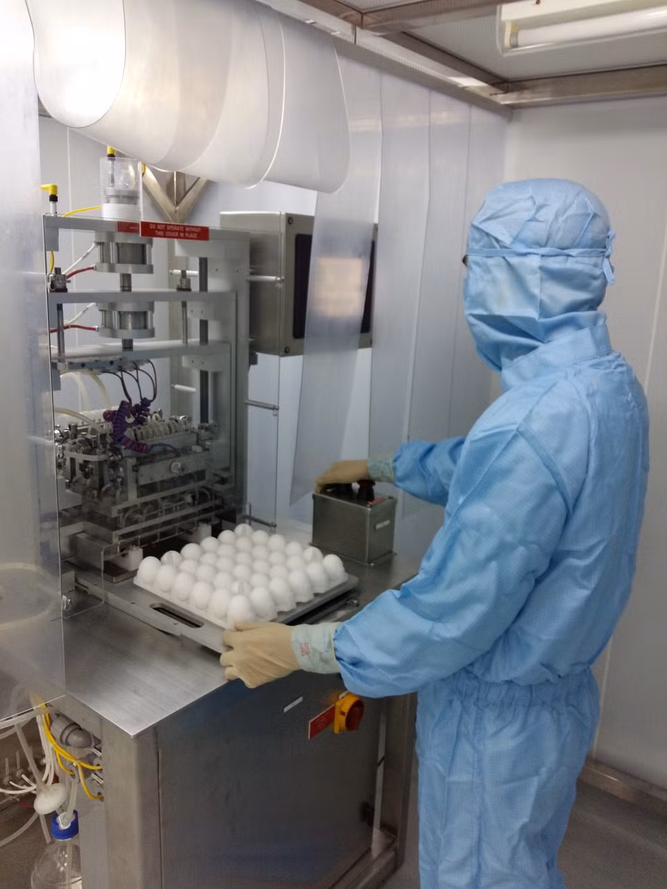  Expertos estudian huevos de gallina con embriones para producir la vacuna (Fuente: VNA)