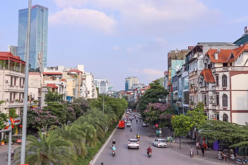 Las flores de Bang Lang tiñen de color violeta las calles de Dao Tan, Tran Thai Tong y Kim Ma (Fuente: Vietnamplus)
