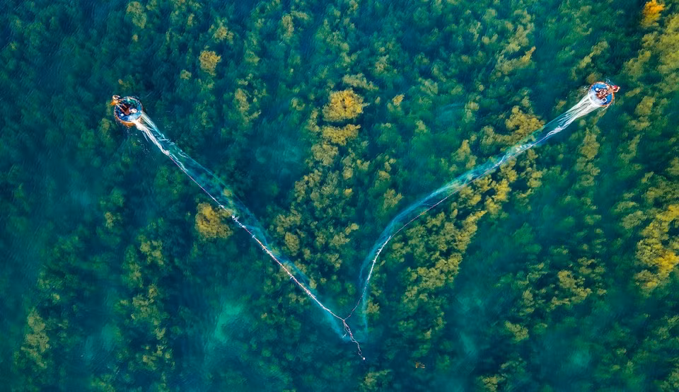 Escena de cultivo de algas en forma de la letra V (Fuente: vnexpress.net)