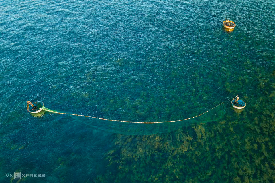 Una pareja local pesca sobre las algas verdes (Fuente: vnexpress.net)
