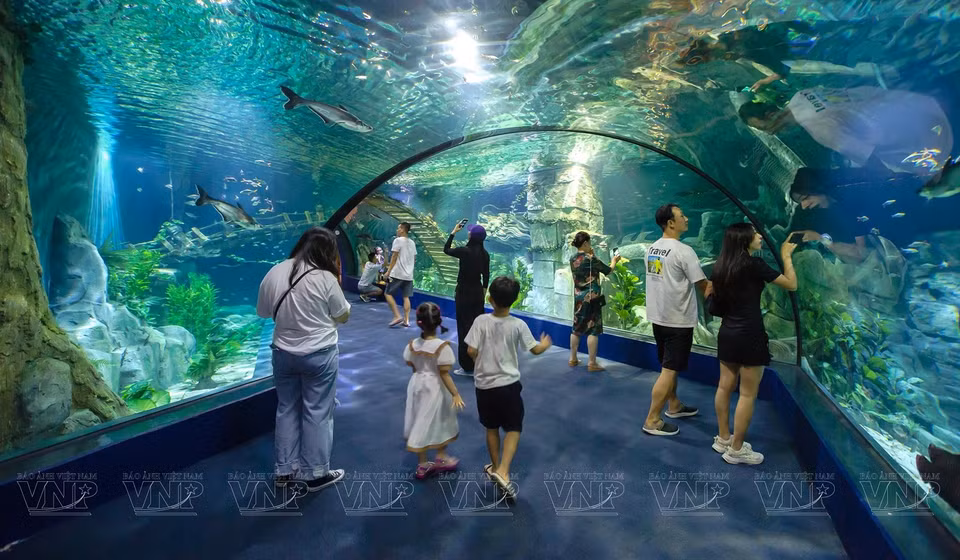 En el Acuario Lotte World Hanoi, los visitantes no sólo pueden admirar la misteriosa belleza de miles de criaturas marinas sino también sentir la vida mágica bajo el océano. (Fuente:VNA)