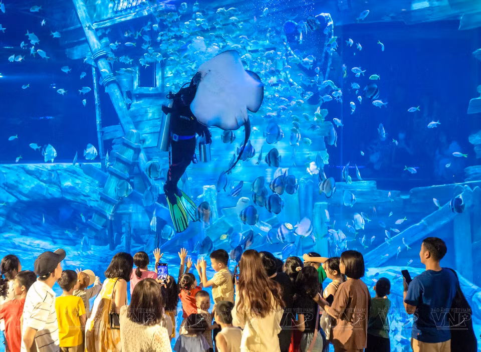 Muchas familias eligen el acuario como lugar para divertirse los fines de semana. (Fuente:VNA)