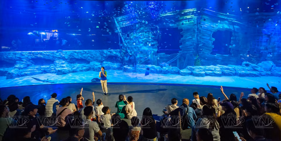 Turistas y niños escuchan una introducción sobre el Acuario Lotte World Hanoi en la principal zona de tanques acrílicos curvos de mayor tamaño del Sudeste Asiático. (Fuente:VNA)