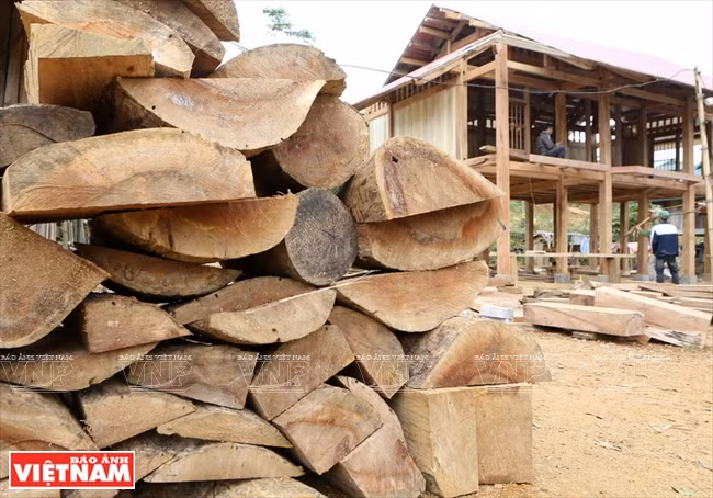Una vez florecidos los melocotoneros y ciruelos, llega la temporada de edificar casas de los Thai en Moc Chau (Fuente: VNA)