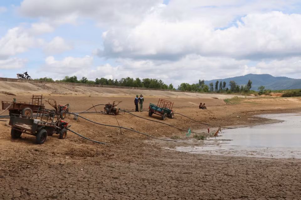 Un total de mil hectáreas de cultivo de arroz en el distrito M’Drak, provincia central de Dak Lak, son afectadas por la sequía prolongada, debido a los cambios climáticos.