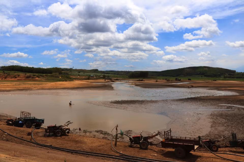 Un total de mil hectáreas de cultivo de arroz en el distrito M’Drak, provincia central de Dak Lak, son afectadas por la sequía prolongada, debido a los cambios climáticos.