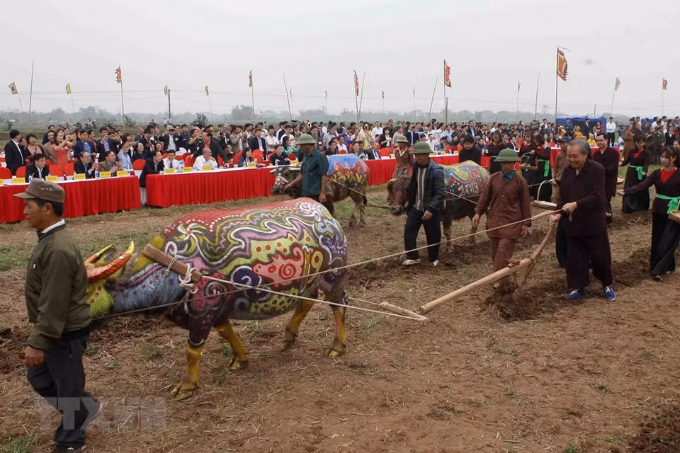 El viceprimer ministro vietnamita Truong Hoa Binh inaugura el Festival Tich Dien, que marca el inicio de la siembra de arroz en los primeros días del Nuevo Año Lunar. (Fuente: VNA)