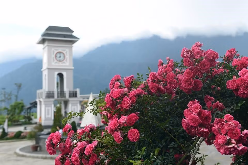 Fansipan es conocido como "el techo de Indochina", siendo reconocido como uno de los muy pocos lugares ecoturísticos de Vietnam, con más de dos mil variedades de flora y unos 300 especies de fauna.