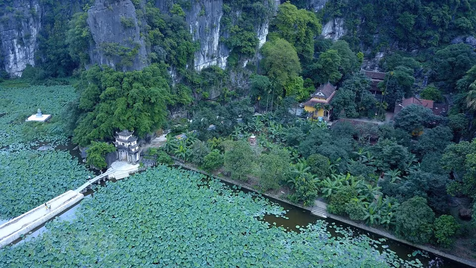 La temporada de floración de lotos en Ninh Binh atrae a numerosos turistas. (Foto: VNA)