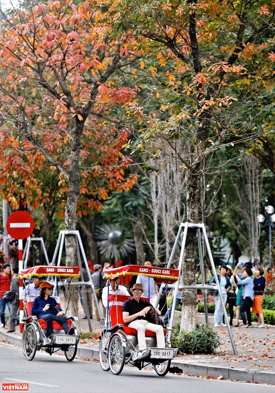 Si Japón y Corea del Sur atraen a turistas por los colores de las hojas de arce rojo y las flores de cerezo, en la primavera, Hanoi seduce a los viajeros por sus colores de hojas de diferentes plantas. (Foto: VNA)