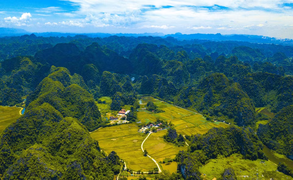 En esta temporada de cosecha de arroz, Ninh Binh es una de las atracciones turísticas de Vietnam. (Fuente: VNA)