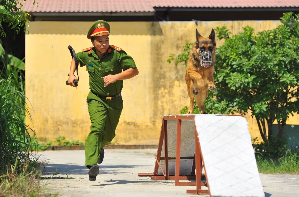 Entrenamiento de perros policía (Fuente: VNA) 