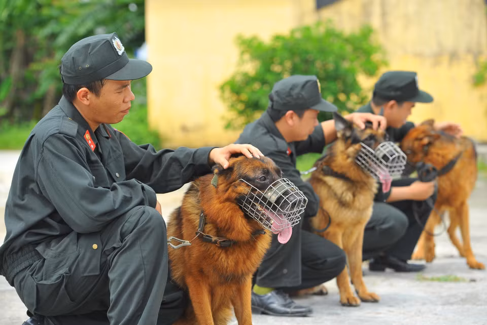 Entrenamiento de perros policía (Fuente: VNA) 