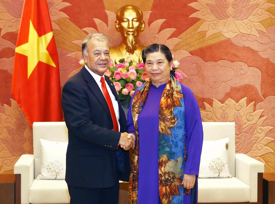 La vicepresidenta de la Asamblea Nacional, Tong Thi Phong, recibió el 27 de agosto de 2019 al Coordinador nacional del Partido del Trabajo de México, Alberto Anaya Gutiérrez, durante su visita oficial a Vietnam. (Fuente: VNA)