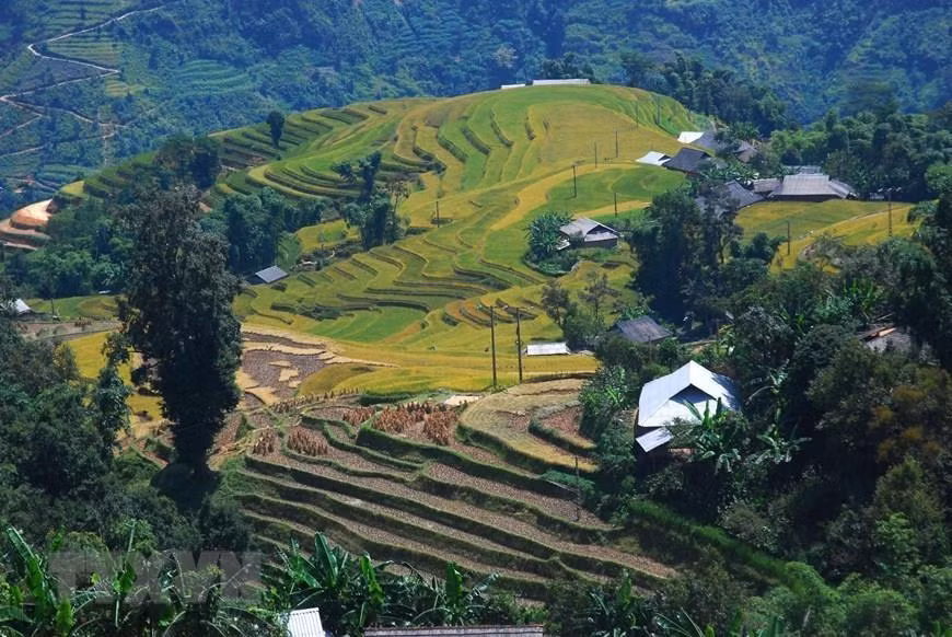 Las terrazas arrozales en Hoang Su Phi es conocido como patrimonio nacional. Foto: VNA) 