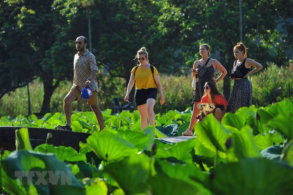 Turistas extranjeros visitan a Bich Dong en la temporada de loto para disfrutar de su paisaje poético. (Foto: VNA)
