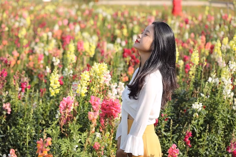 Fansipan es conocido como "el techo de Indochina", siendo reconocido como uno de los muy pocos lugares ecoturísticos de Vietnam, con más de dos mil variedades de flora y unos 300 especies de fauna.