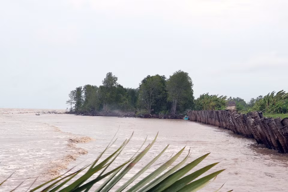Cambio climático causa grave erosión en el dique en la costa de provincia sureña de Kien Giang. (Foto: VNA)