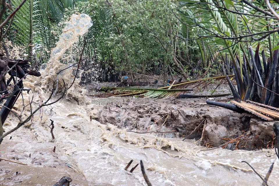 Cambio climático causa grave erosión en el dique en la costa de provincia sureña de Kien Giang. (Foto: VNA)