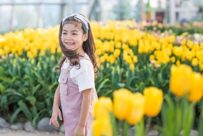 La exhibición, de dos meses de duración inaugurada este fin de semana, dispone de 100 mil tulipanes. Fuente: VietnamPlus
