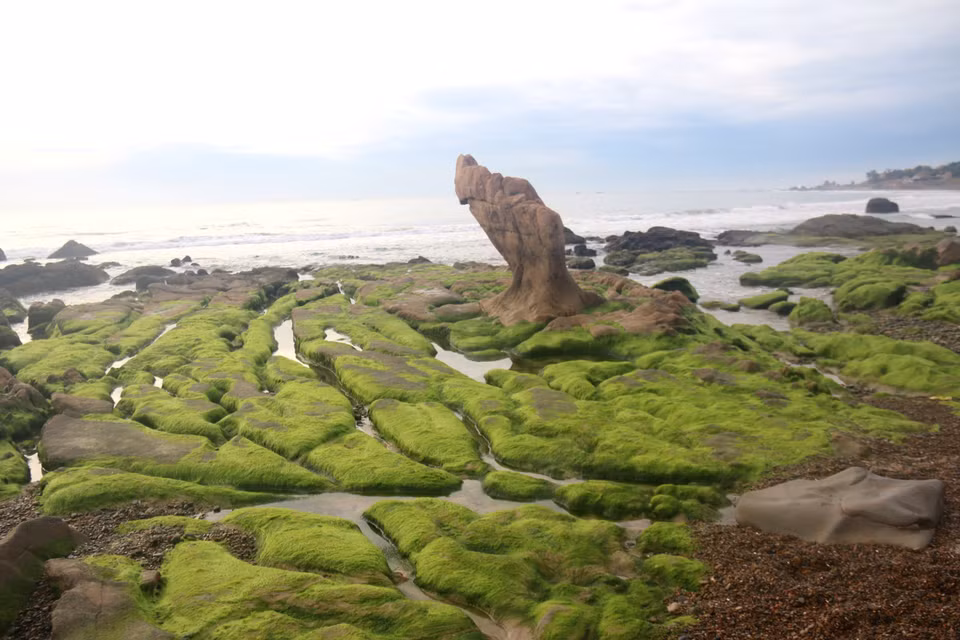 Al visitar este lugar, parece como si los turistas se perdieran en un espacio surrealista y mágico creado por las piedras, el musgo y el vasto mar (Fuente: VNA)