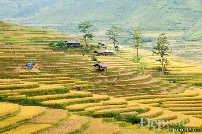 La Valle Khau Pha, un destino favorito de los turistas 