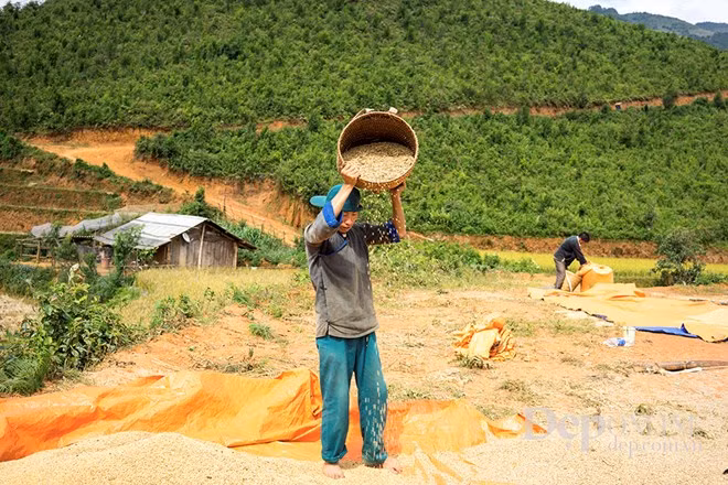 Casi todos los procesos de producción son realizados a mano 