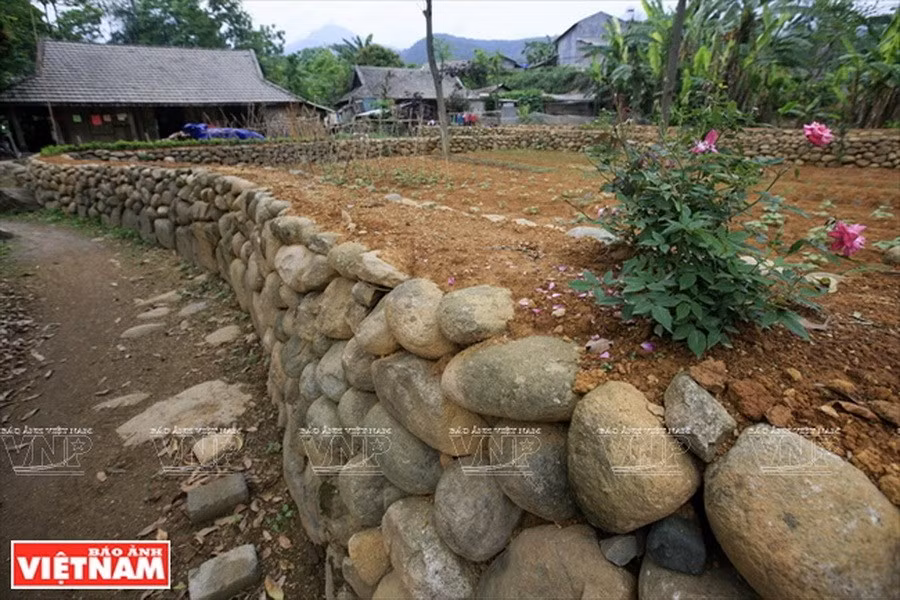 Nhập mô tả cho ảnh
