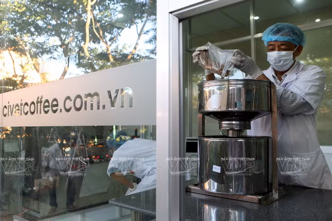 Procesamiento del café