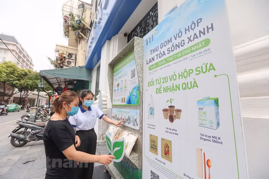 Luego de recolectar el cartón de leche, TH lo devolverá a Tetra Pak, un grupo de fama mundial que proporciona productos de empaque para reciclar utilizando tecnología moderna, fabricando productos útiles, amigables con el medio ambiente y seguros para los usuarios, como láminas para techos, mesas y sillas ecológicas, bolsas de papel, cuadernos, papel higiénico, papel de regalo. El empeño de TH forma parte de los esfuerzos del país por estimular el consumo sostenible y estilos de vida más amigables con el medio ambiente, en el contexto de que la generación de residuos plásticos y la eliminación de bolsas no biodegradables tienden a aumentar con los años, lo cual ha provocado una presión sobre el medio ambiente en el país indochino. (Foto: Vietnam+) 