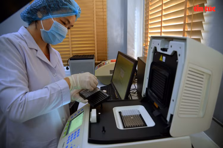 El personal médico trabaja en el laboratorio para el análisis de las muestras en la pruebas de RT-PCR (reacción en cadena de la polimerasa con reverso transcripción) para la detección del virus SARS-CoV-2 (Fuente: VNA)