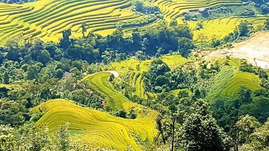 En junio, los pobladores étnicos en Hoang Su Phi inician la acumulación de agua en los arrozales con el comienzo de la temporada de lluvias en el norte. Las precipitaciones en las laderas de la montaña y los arroyos fluyen hacia los campos, que se convierten en un espejo celestial especial. Cuando los campos absorben suficiente líquido, los pobladores comienzan la siembra única del año utilizando las técnicas heredadas de los antepasados por muchas generaciones. Aunque no son tan famosos como otros destinos en Y Ty y Mu Cang Chai, los campos en terrazas de Hoang Su Phi aún resultan espléndidos y poéticos. (Foto: Vietnam+)