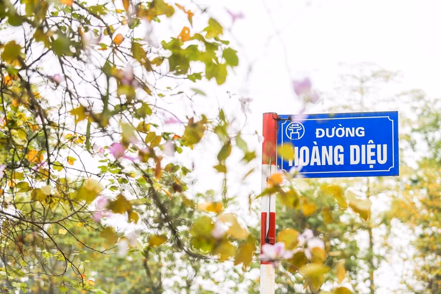 El sabor y la belleza de las flores de la región montañosa del noroeste en las calles de Hanoi (Foto: Vietnamplus)